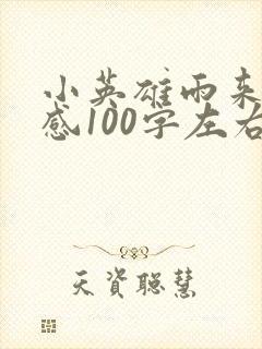 小英雄雨来读后感100字左右