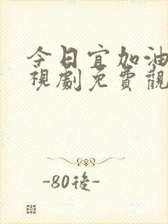 今日宜加油 电视剧免费观看