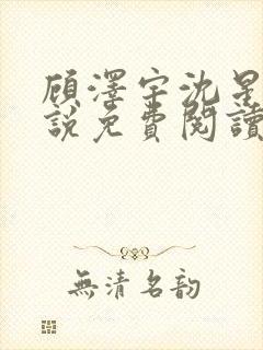 顾泽宇沈星晚小说免费阅读最新章节