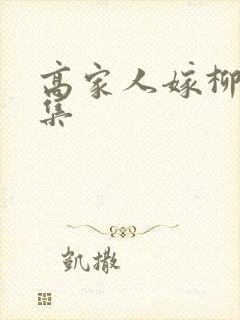 高家人嫁柳家1集