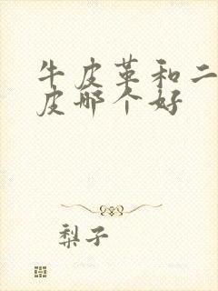 牛皮革和二层牛皮哪个好