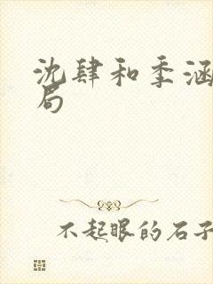 沈肆和季涵漪结局封面