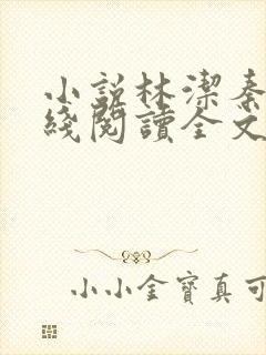 小说林洁秦齐在线阅读全文