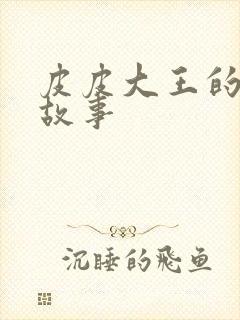 皮皮大王的成语故事封面
