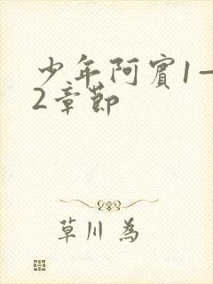 少年阿宾1—72章节封面