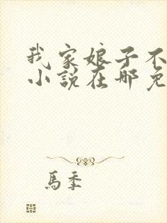 我家娘子不对劲小说在哪免费下载封面