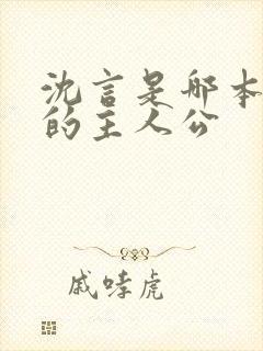 沈言是哪本小说的主人公