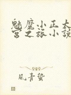 魅魔小正太的后宫之旅小说免费阅读