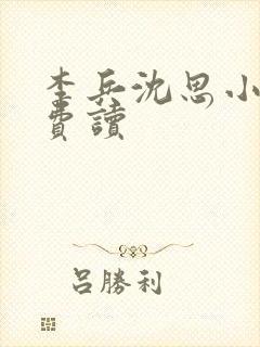 李兵沈思小说免费读封面