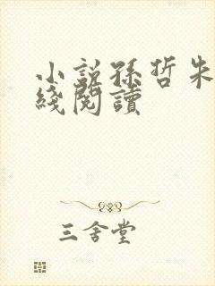 小说孙哲朱彦在线阅读