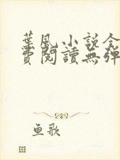 叶风小说全文免费阅读无弹窗