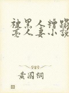 被黑人糟蹋的漂亮人妻小说