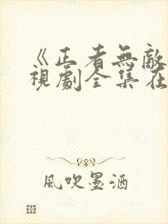 《正者无敌》电视剧全集在线观看封面