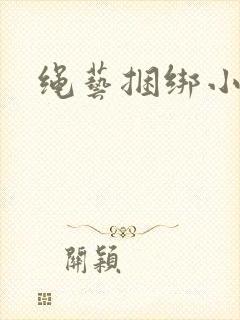 绳艺捆绑小说封面