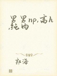 男男np,高h,纯肉封面