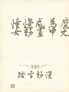 憧憬成为魔法少女动画中文版