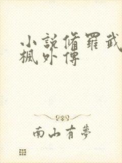 小说修罗武神楚枫外传