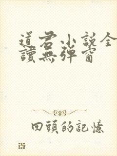 道君小说全文阅读无弹窗