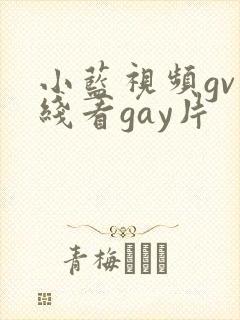小蓝视频gv在线看gay片