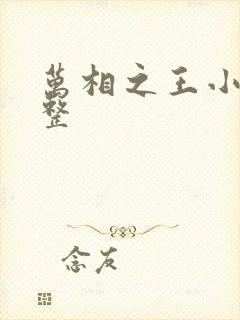 万相之王小说完整