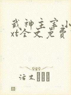 武神主宰小说txt全文免费下载