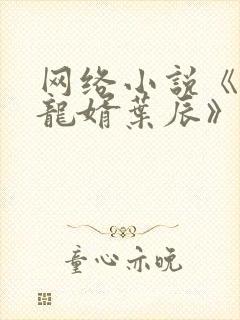 网络小说《上门龙婿叶辰》