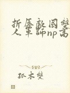 折辱敌国双性美人军师np高h封面