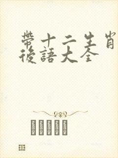 带十二生肖的歇后语大全封面