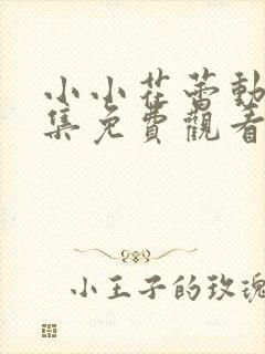 小小花蕾动漫全集免费观看第一季