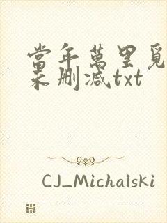 当年万里觅封侯未删减txt