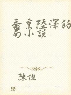 乔熏陆泽的大结局小说封面