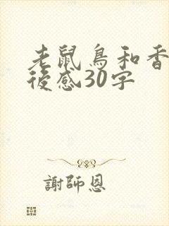 老鼠鸟和香肠读后感30字