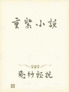 重紫小说封面