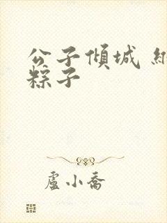 公子倾城 维和粽子