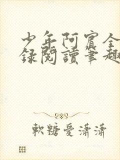 少年阿宾全文目录阅读笔趣阁