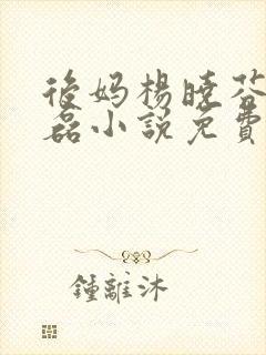 后妈杨晓芬与王磊小说免费阅读