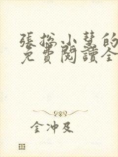 张总小慧的小说免费阅读全文