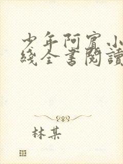 少年阿宾小说在线全书阅读无弹窗免费