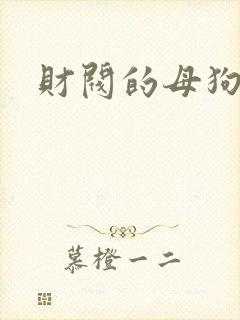 财阀的母狗们