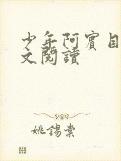 少年阿宾目录全文阅读