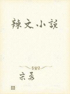 辣文小说封面