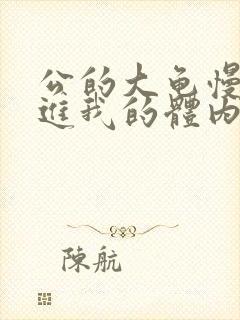 公的大龟慢慢挺进我的体内视频