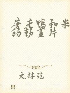 唐老鸭和米老鼠的动画片