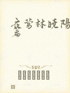 夜莺林晓阳番外篇封面