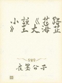 小说《花路璀璨》王大海芷晴txt