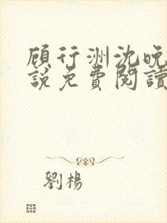 顾行洲沈晚宁小说免费阅读最新章节