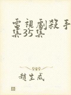 电视剧杀手锏全集35集