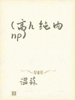 (高h 纯肉 np)