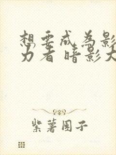 想要成为影之实力者 暗影大人封面