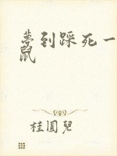 梦到踩死一只老鼠